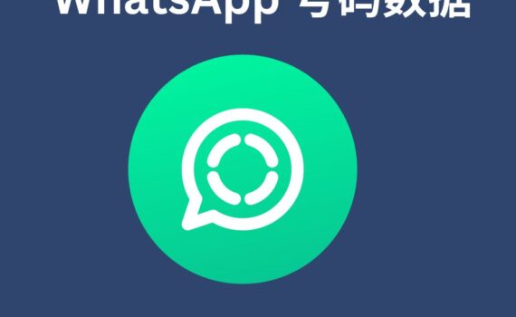 WhatsApp 号码数据