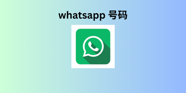 whatsapp 号码